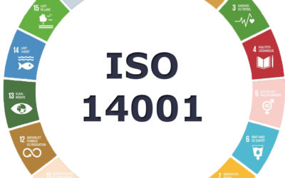 ISO 14001 bidrager til FN’s verdensmål